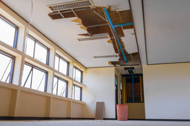 Best Ceiling water damage repair  in Venus, TX